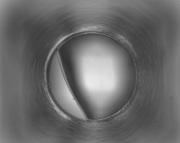 X0000056350792200508260918
