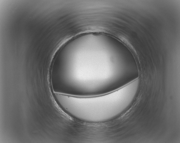 X0000056350797200508260918