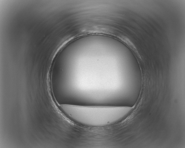 X0000056350798200508260918