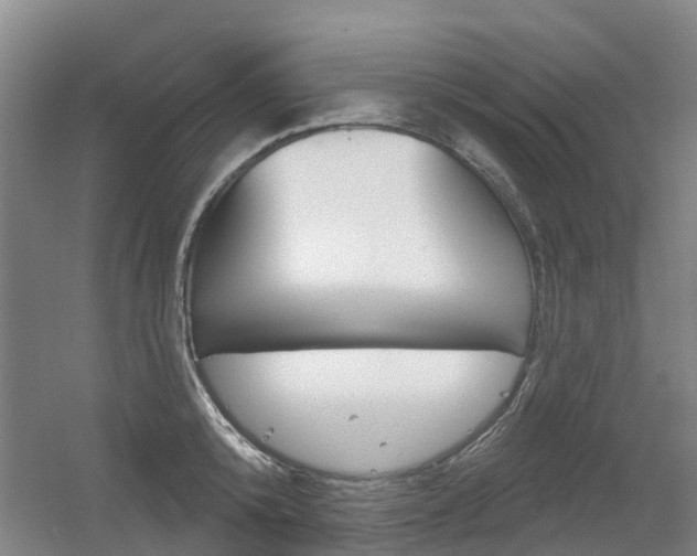 X0000056350800200508260918