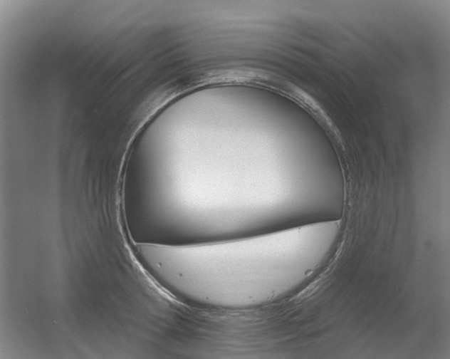 X0000056350802200508260918