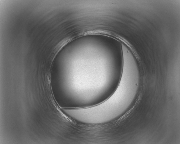 X0000056350809200508260918