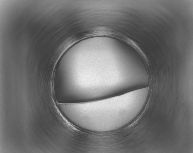 X0000056350810200508260918