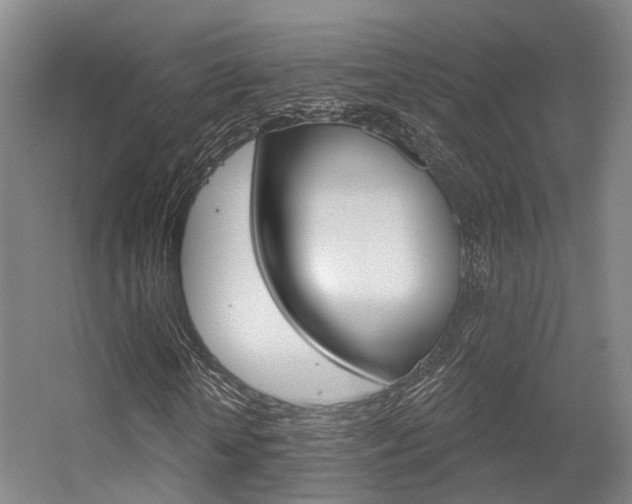 X0000056350818200508260917