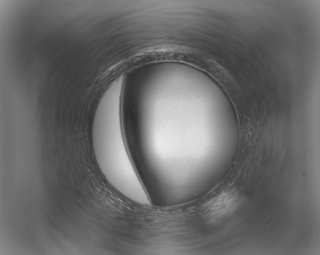 X0000056350821200508260917