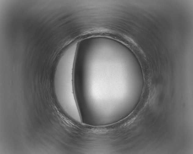 X0000056350825200508260917