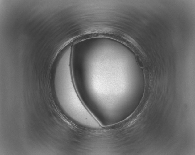 X0000056350826200508260917