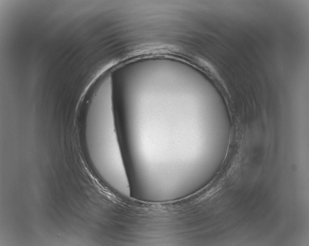 X0000056350827200508260917