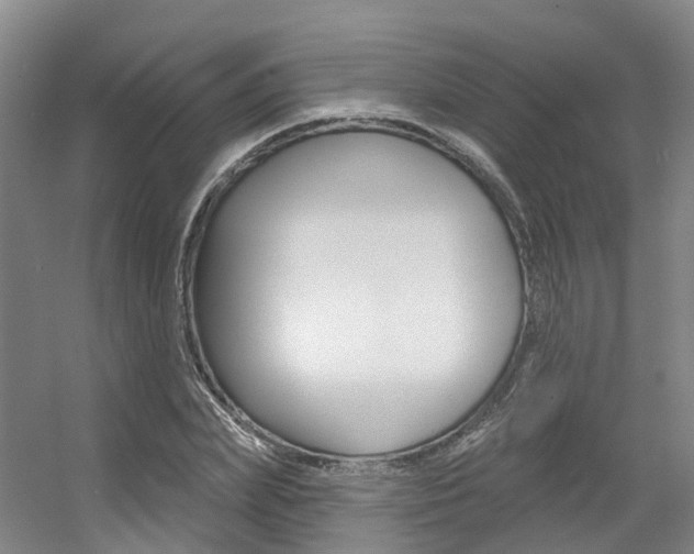 X0000056350831200508260917