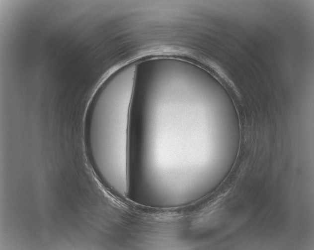 X0000056350837200508260918