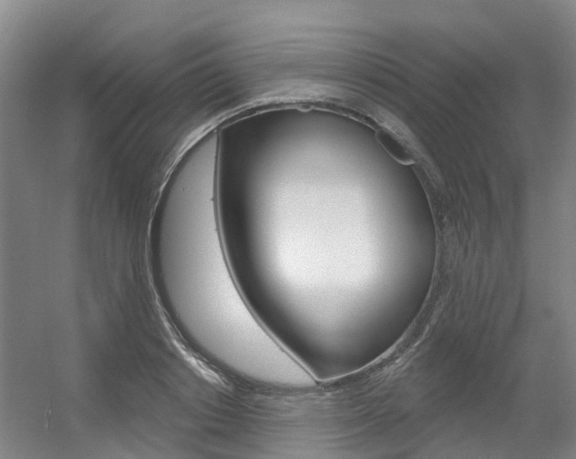 X0000056350842200508260918