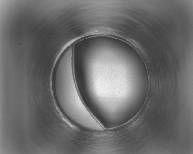 X0000056350846200508260918