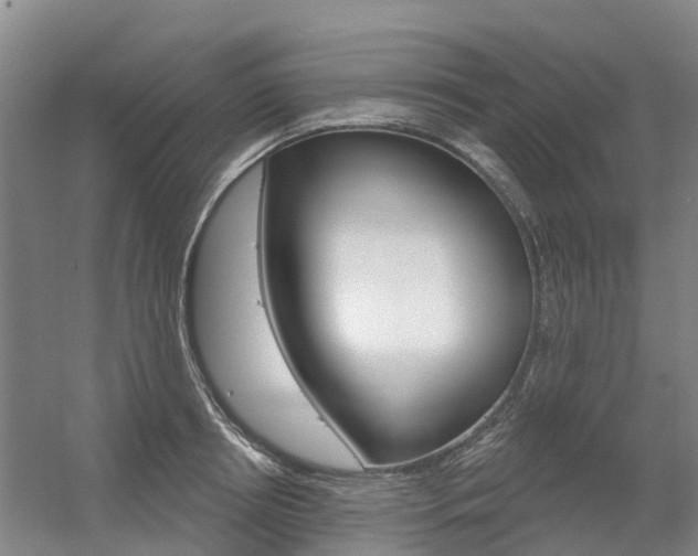 X0000056350850200508260918