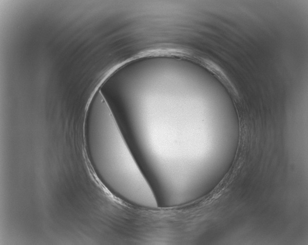 X0000056350852200508260918