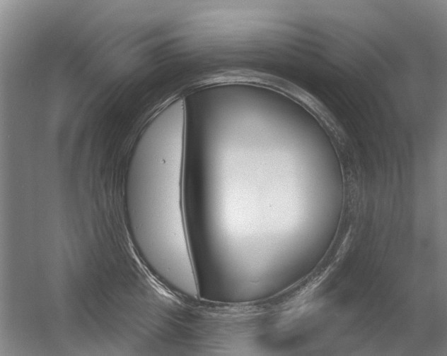 X0000056350857200508260918