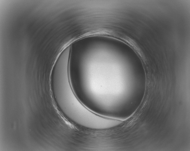 X0000056350858200508260918