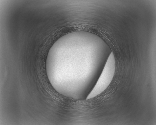 X0000056350865200508260917