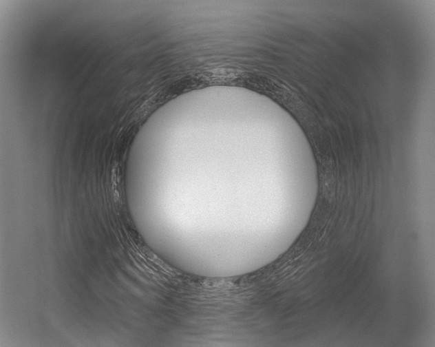 X0000056350866200508260917