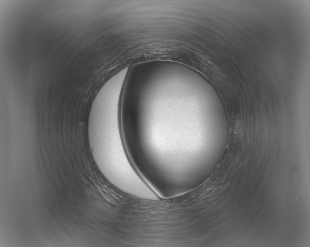 X0000056350868200508260917