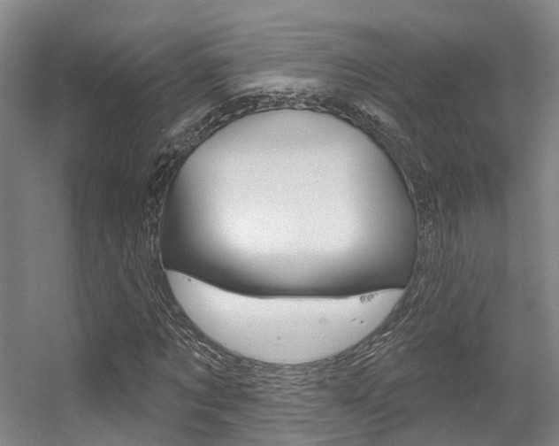 X0000056350869200508260917