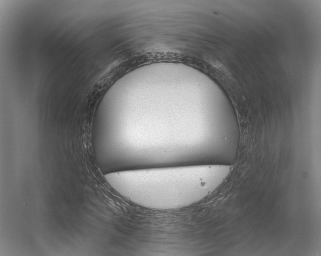 X0000056350870200508260917