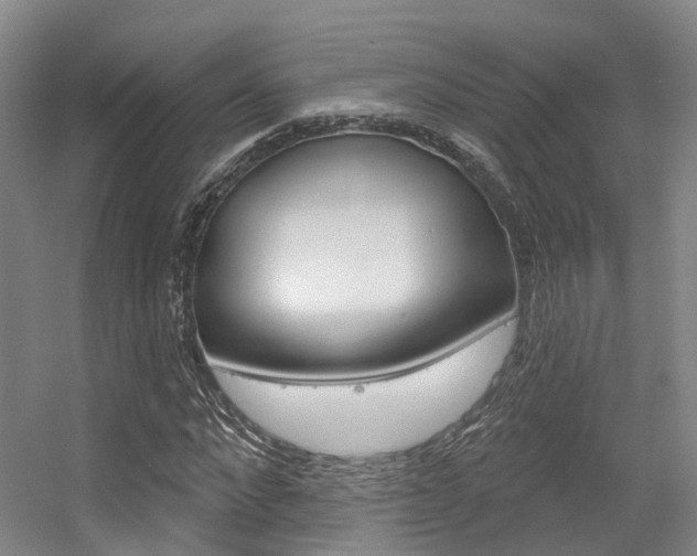 X0000056350872200508260917