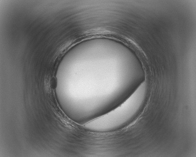 X0000056350873200508260917