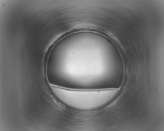 X0000056350877200508260917