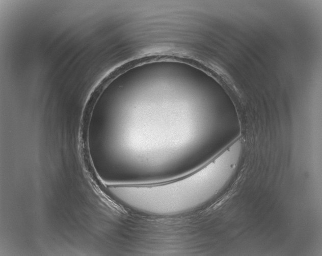 X0000056350880200508260917
