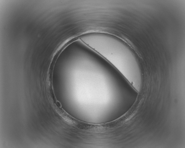 X0000056350885200508260917