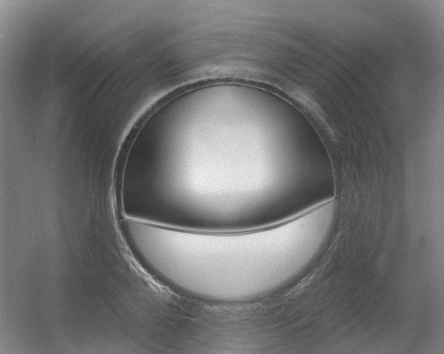 X0000056350888200508260917