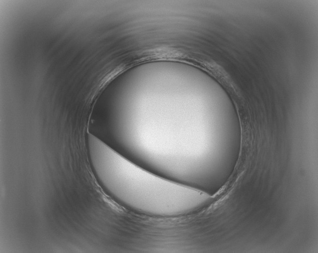 X0000056350889200508260917
