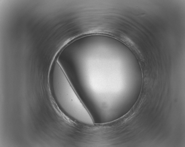 X0000056350892200508260917