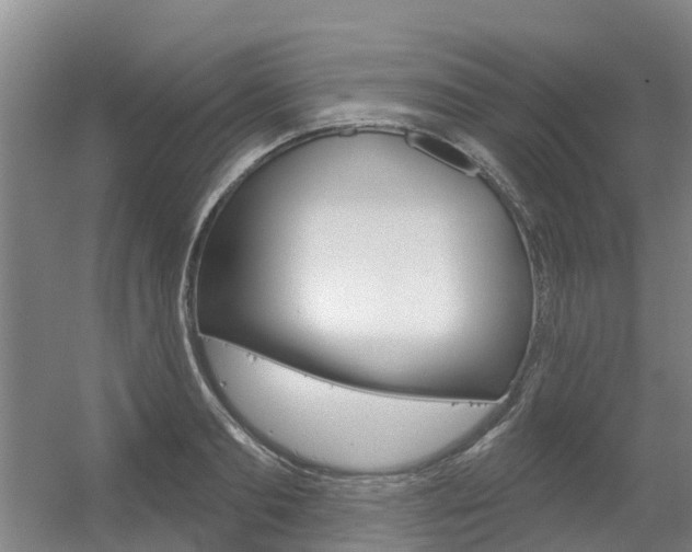 X0000056350893200508260917