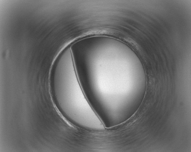 X0000056350894200508260917