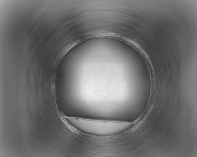 X0000056350897200508260917