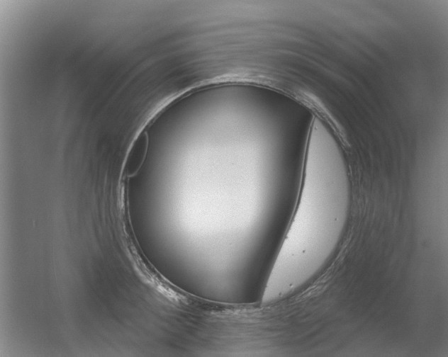 X0000056350900200508260917