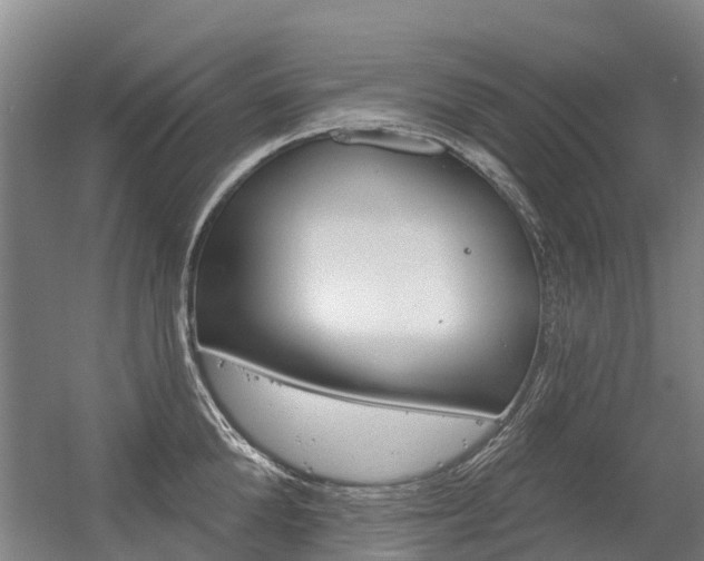 X0000056350904200508260917