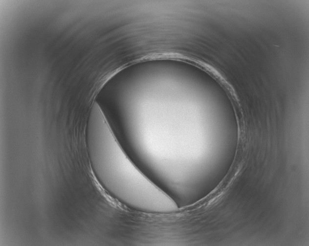 X0000056350905200508260917