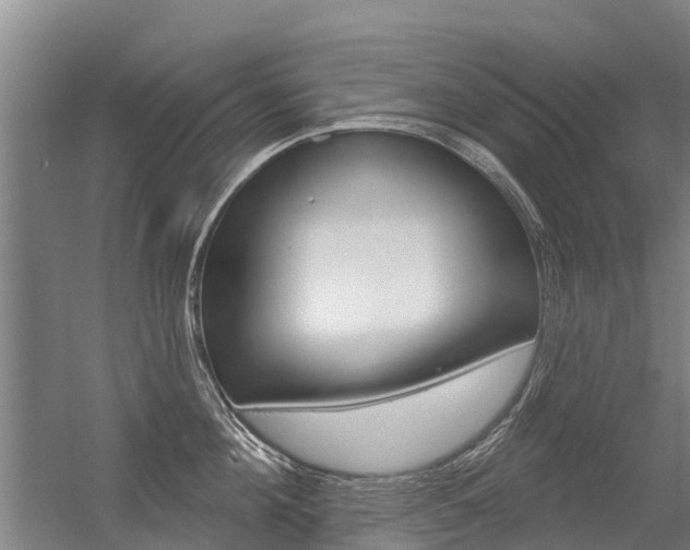 X0000056350908200508260917