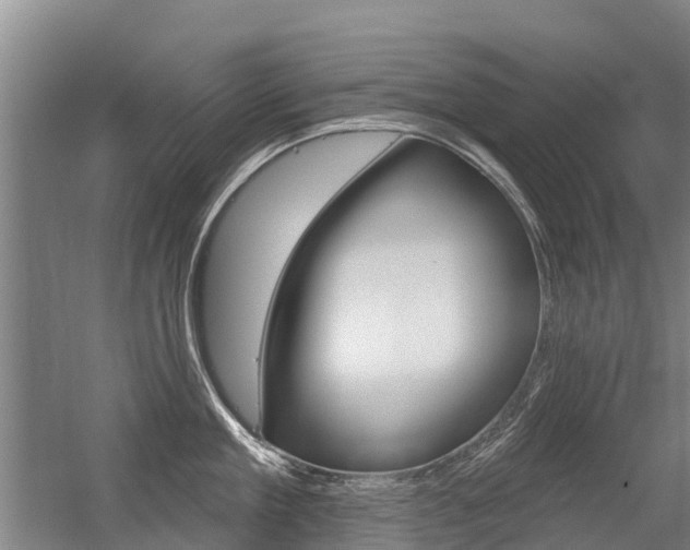 X0000056350909200508260916