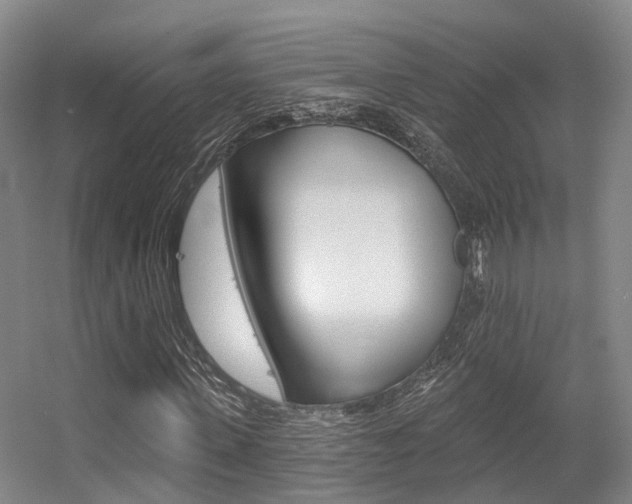 X0000056350915200508260916