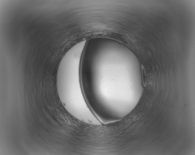 X0000056350916200508260916