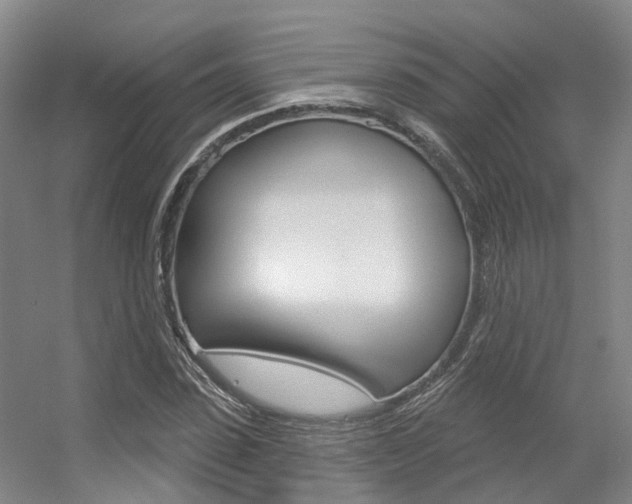 X0000056350923200508260916