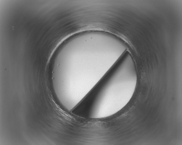 X0000056350926200508260916
