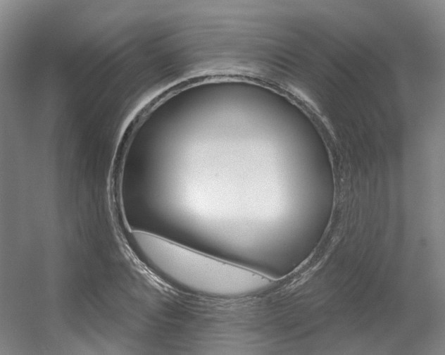 X0000056350928200508260916
