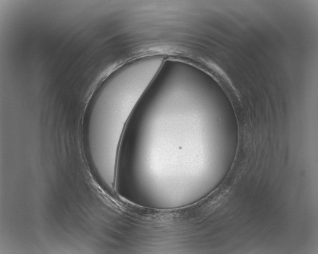 X0000056350930200508260916