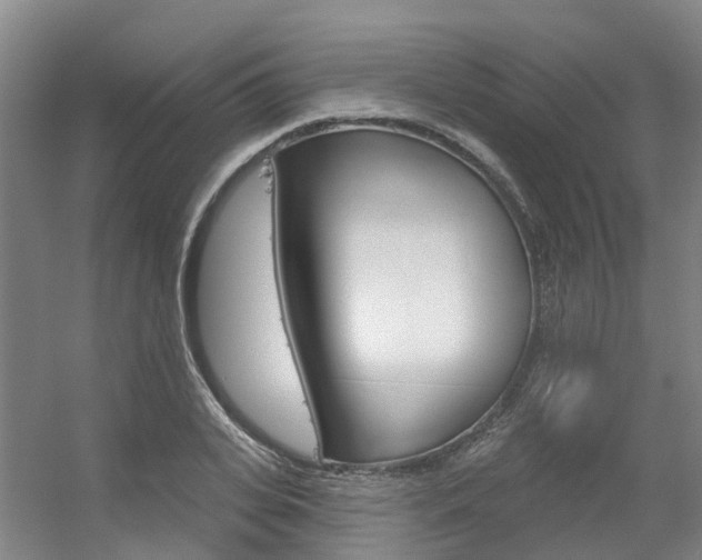 X0000056350935200508260916