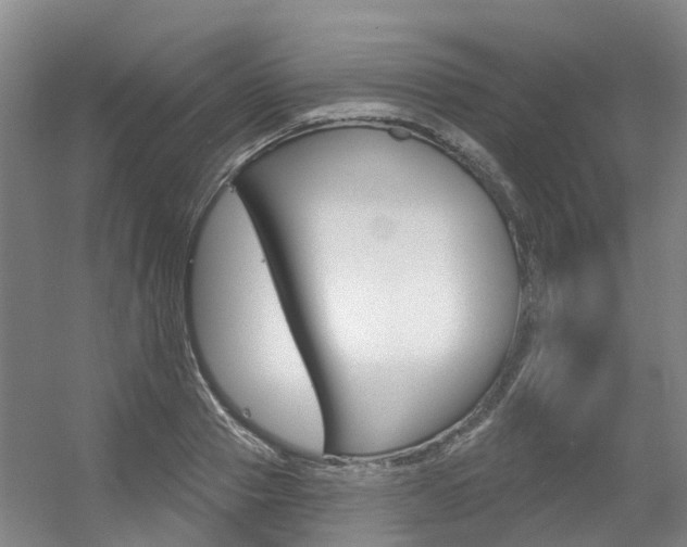 X0000056350937200508260916