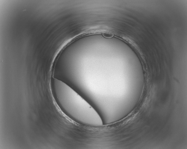 X0000056350941200508260916